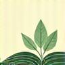 Open book icon representing daily health articles